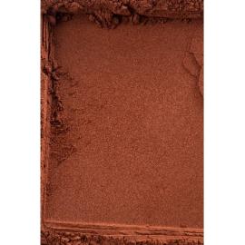 Какао-порошок алкализ. 11-ALK-R3 (ж.10-15%), 25 кг (Нидерланды)