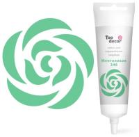 Смесь д/окраш. пищ. прод. жидк. МЕНТОЛОВАЯ в/р, 100 г, арт. hk69959