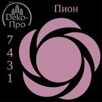 Смесь д/окраш. пищ. прод. жидк. ПИОН в/р, 100 г