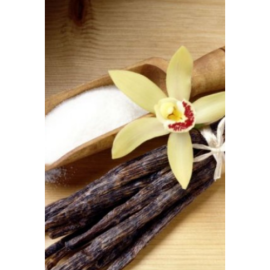 Ароматизатор пищевой порошкообразный "Ванибур" (VANIBUR) 1 кг