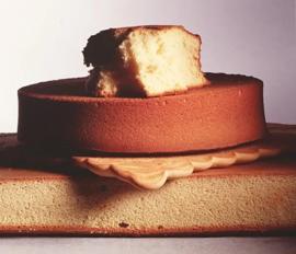 Смесь "Изи Бисквит" (доз.15%), 25 кг