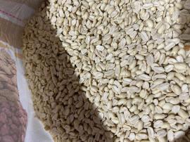 Арахис бланшированный сплит, (Бразилия), 1 кг (фасовка ИМ)