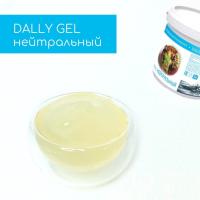 Гель зеркальный Dally Gel нейтральный, 1 кг