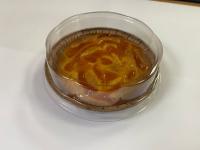 Крышка для формы ПАЙ 90*20 прозрачная (125шт) арт. TP9020-2W/3_BR