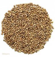 Кориандр горошком,450гр