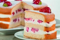 Смесь "Эстеро" Бисквит Универсальный (доз.30%) (R), ТОП 25 кг