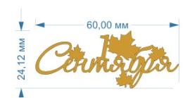 Топпер акриловый золотой «1 Сентября» 60*24 мм, арт.185