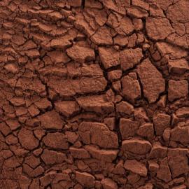 Какао-порошок алкализ. CACAO BARRY Rouge Ultime, код DCP-20RULTI-89B, 250 гр (фасовка ИМ)